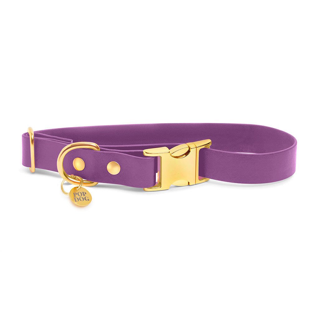 Pop Dog - Collier Pr&eacute;cieux Violet pour Chien - L Image num&eacute;ro 1