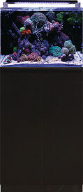 Blue Marine - Meuble Reef 120 Noir - 50x65x85cm