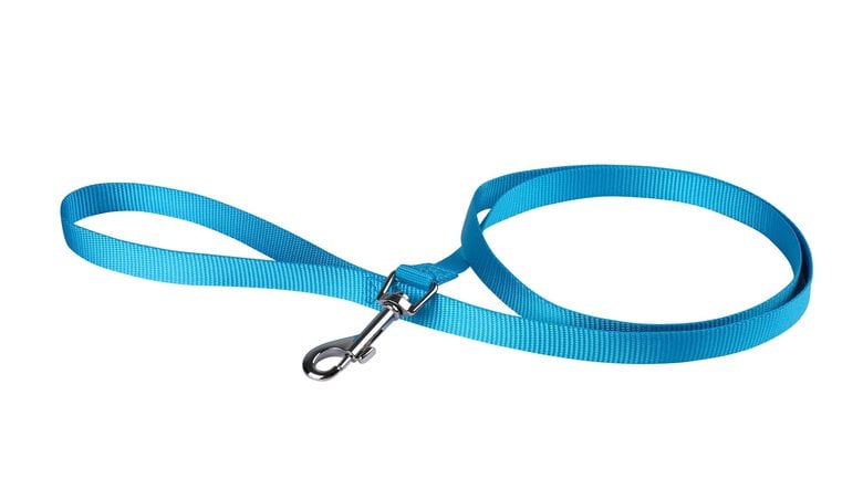 Animalis - Laisse Basic Bleu pour Chien - 12mm et 120cm Image numéro 1 Animalis - Laisse Basic Bleu pour Chien - 12mm et 120cm Image numéro 1