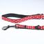 For Fan Pets - Laisse Minnie en Nylon pour Chien - M Indicateur image numéro 4