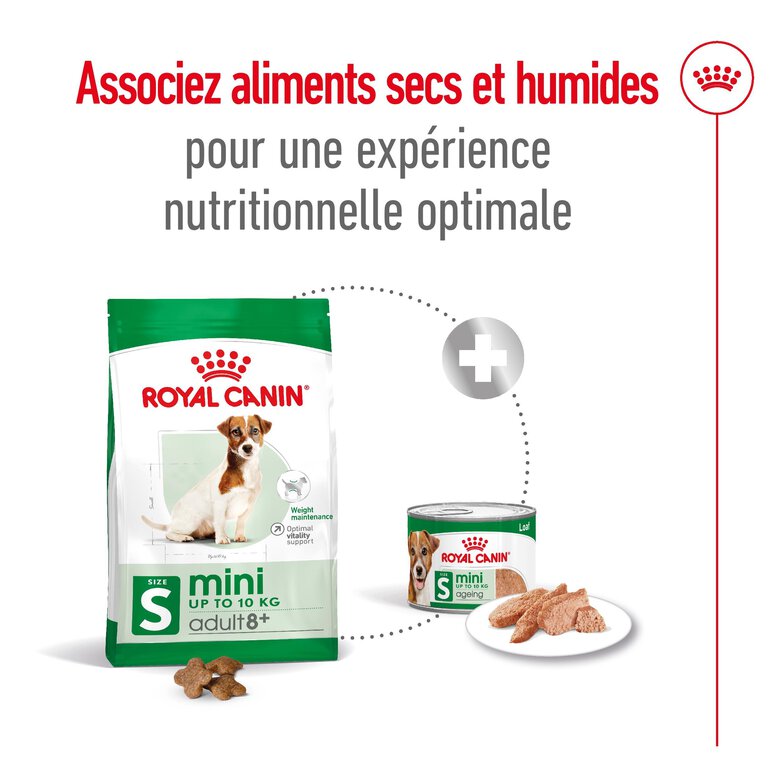 Royal Canin - Croquettes Mini 8+ pour Chien Adulte - 8Kg Image numéro 8 Royal Canin - Croquettes Mini 8+ pour Chien Adulte - 8Kg Image numéro 8