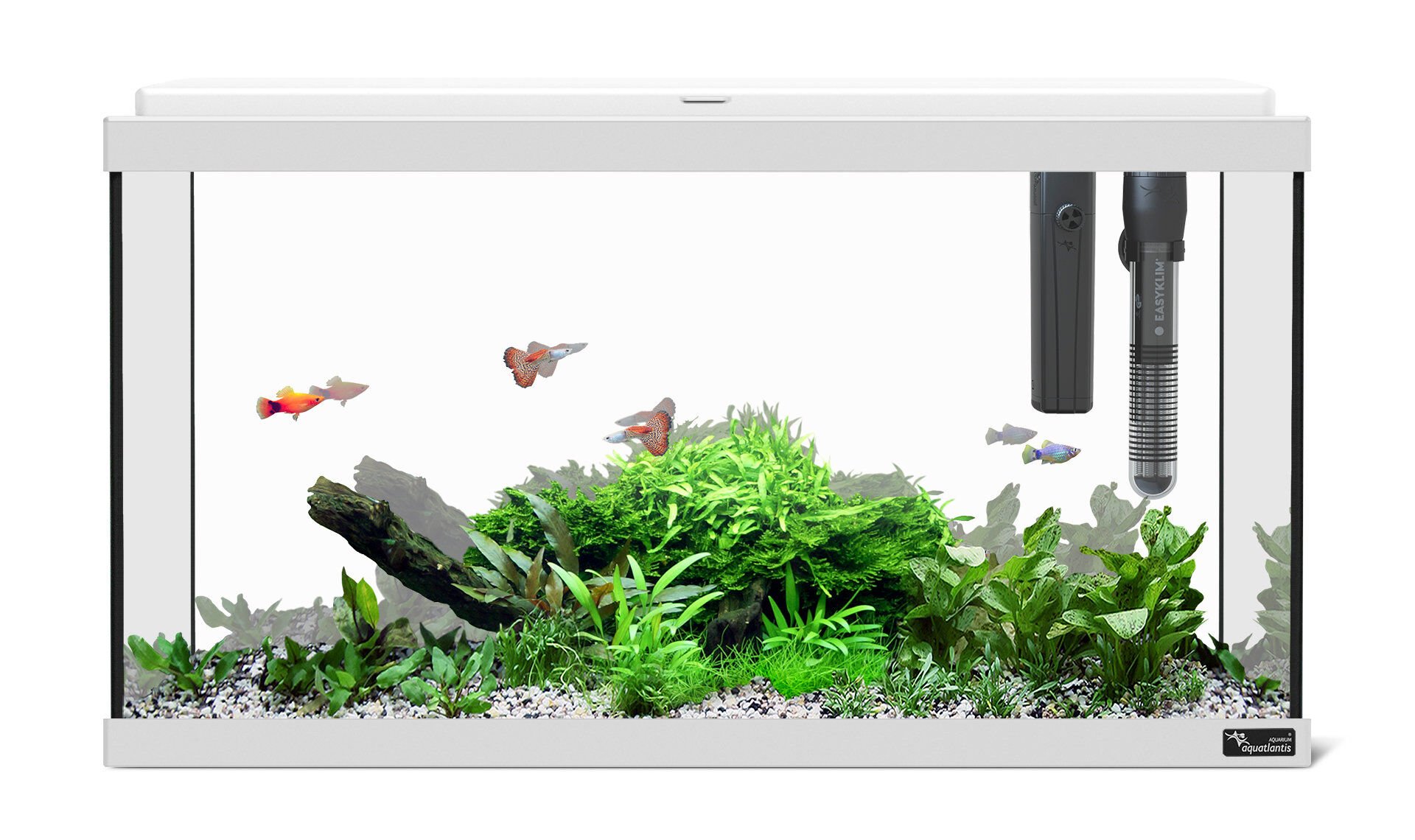 Aquatlantis - Aquarium Explorer Paris 60 - Gris Equip&eacute; Image num&eacute;ro 1