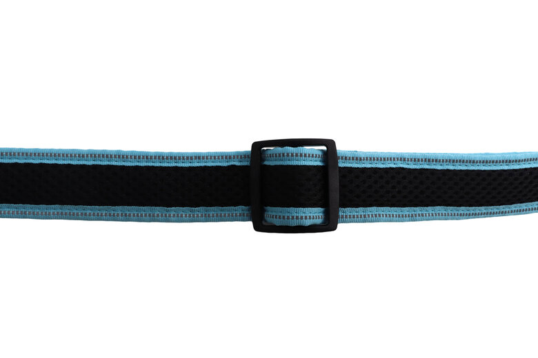 Gotoo - Collier Mesh Turquoise pour Chien - S Image numéro 5 Gotoo - Collier Mesh Turquoise pour Chien - S Image numéro 5