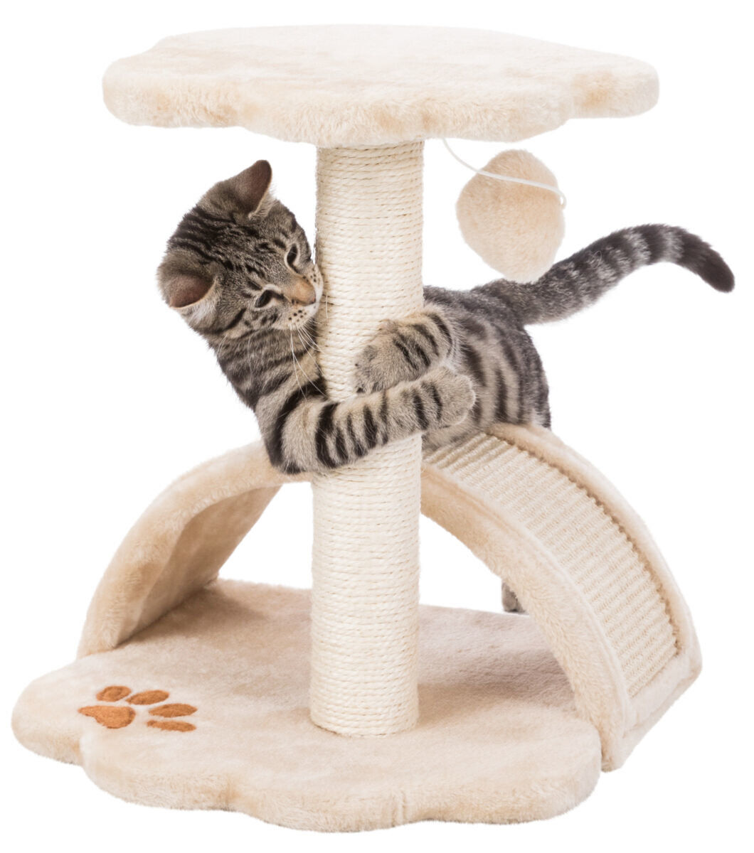 Trixie - Junior arbre &agrave; chat Vitoria beige/naturel - 43 cm Image num&eacute;ro 1