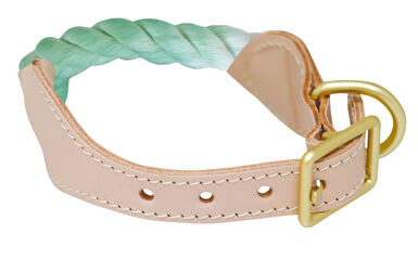 Croci - Collier Corde Sorbet Citron Vert pour Chiens