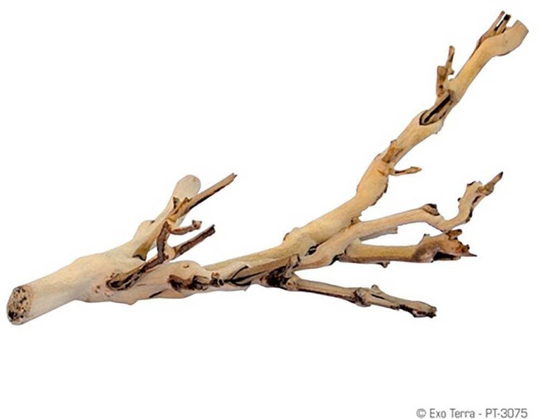 Exo Terra - Branches de Vigne Naturelles Sablées - GM Image numéro 1 Exo Terra - Branches de Vigne Naturelles Sablées - GM Image numéro 1