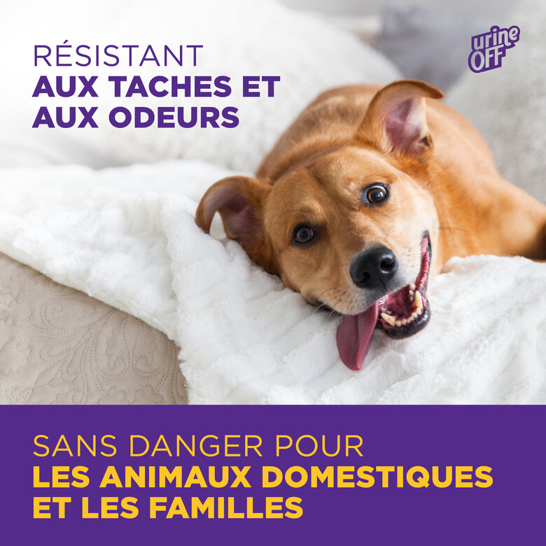 Urine Off - Destructeur Biotec Urine Off Chien - 118ml Image numéro 5 Urine Off - Destructeur Biotec Urine Off Chien - 118ml Image numéro 5