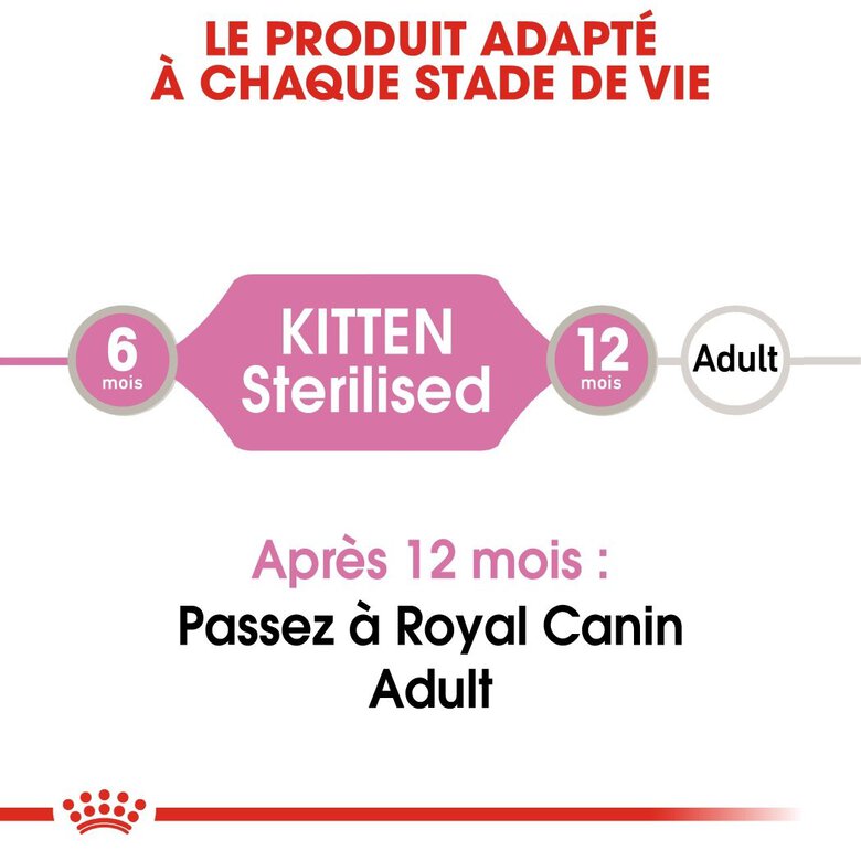 Royal Canin - Sachets Kitten Sterilised en Gelée pour Chaton - 12x85g Image numéro 3 Royal Canin - Sachets Kitten Sterilised en Gelée pour Chaton - 12x85g Image numéro 3