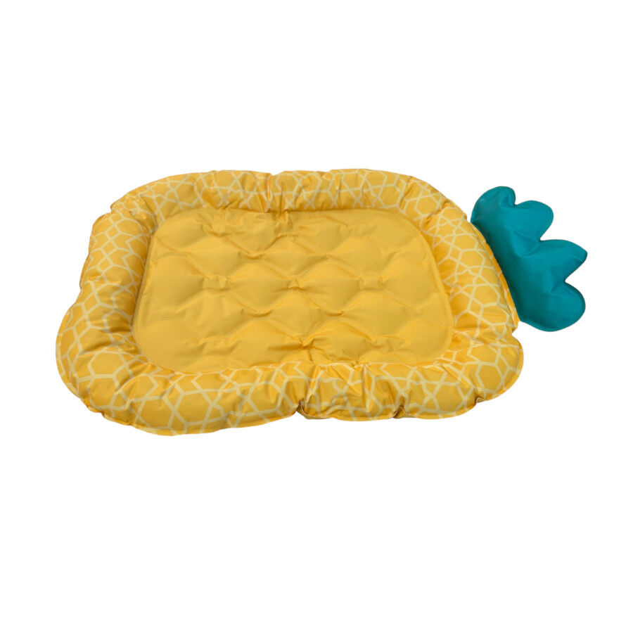 Summer Vibes - Tapis Rafraichissant Ananas pour Chiens - 66cm Image num&eacute;ro 2