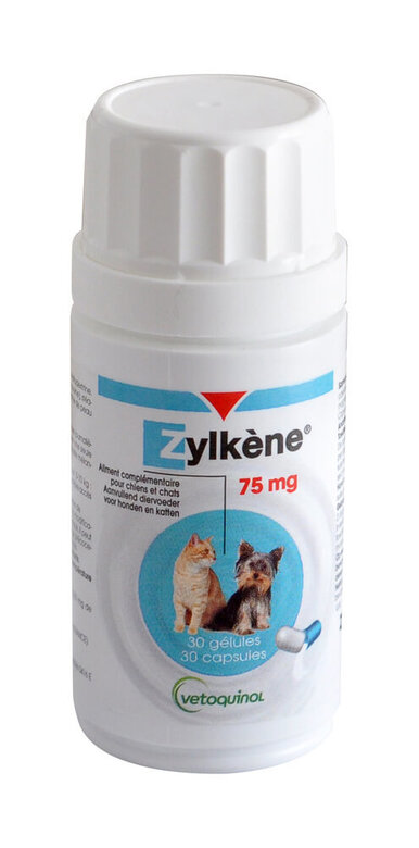 Zylkene - Aliment Complémentaire 75mg en Gélules pour Chien - x30 Image numéro 1 Zylkene - Aliment Complémentaire 75mg en Gélules pour Chien - x30 Image numéro 1
