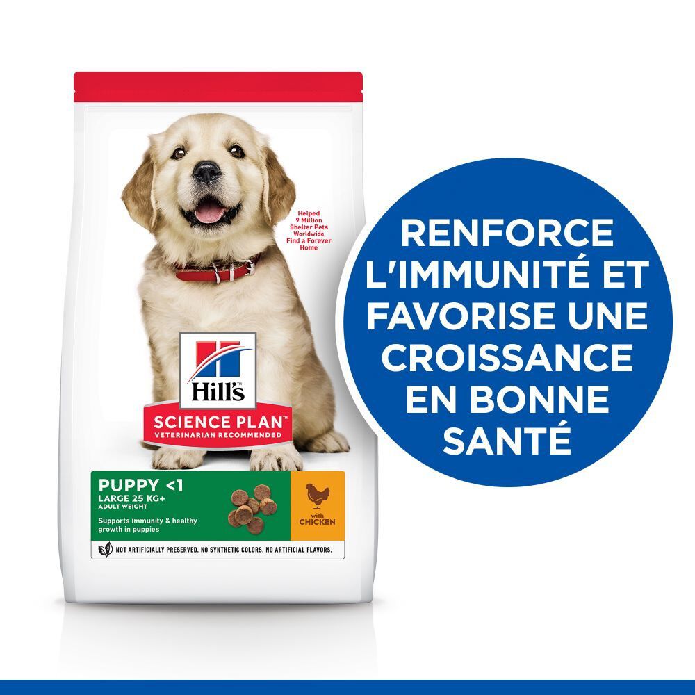 Hill's Science Plan - Puppy Croquettes Pour Chiot De Grande Taille Au Poulet  - 16kg Image num&eacute;ro 4