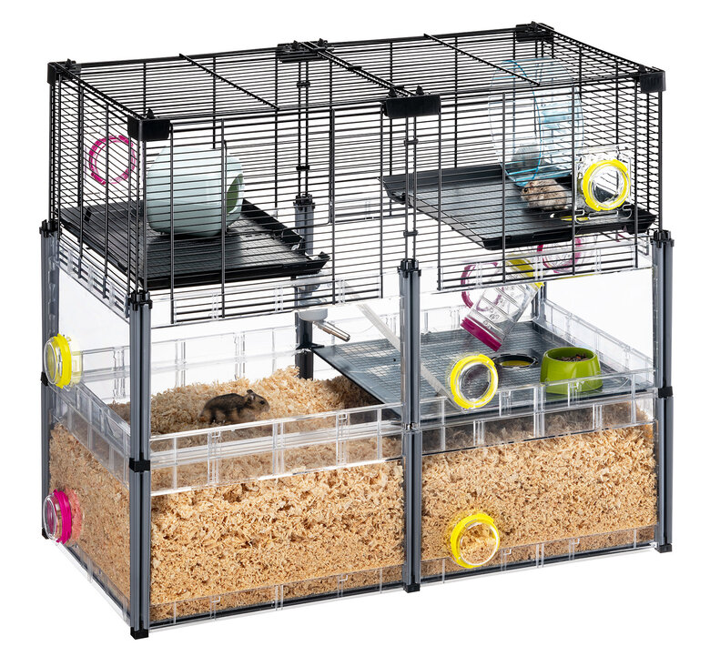 Ferplast - Cage Multipla Crystal pour Hamster et Souris - Noir Image numéro 1 Ferplast - Cage Multipla Crystal pour Hamster et Souris - Noir Image numéro 1