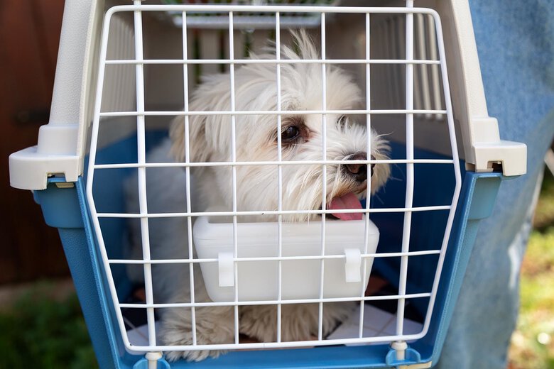 Ferplast - Panier de Transport Atlas 10 Open - Noir Image numéro 1 Ferplast - Panier de Transport Atlas 10 Open - Noir Image numéro 1