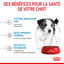 Royal Canin - Croquettes Mini Puppy pour Chiot - 2Kg Indicateur image numéro 3