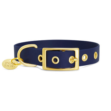 Pop Dog - Collier Patapouf ¼illets Bleu pour Chiens