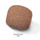 Royal Canin - Croquettes Giant Junior pour Chiot - 15Kg image number null