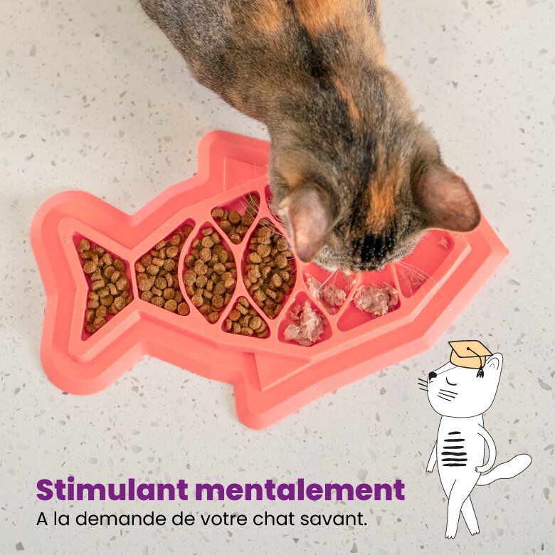 Outward Hound - Tapis d'Alimentation Fishie Fun Feed pour Chats - Rose Image num&eacute;ro 2