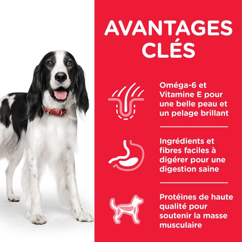 Hill's Science Plan - Adult Croquettes Pour Chien Au Poulet - 14kg Image numéro 3 Hill's Science Plan - Adult Croquettes Pour Chien Au Poulet - 14kg Image numéro 3