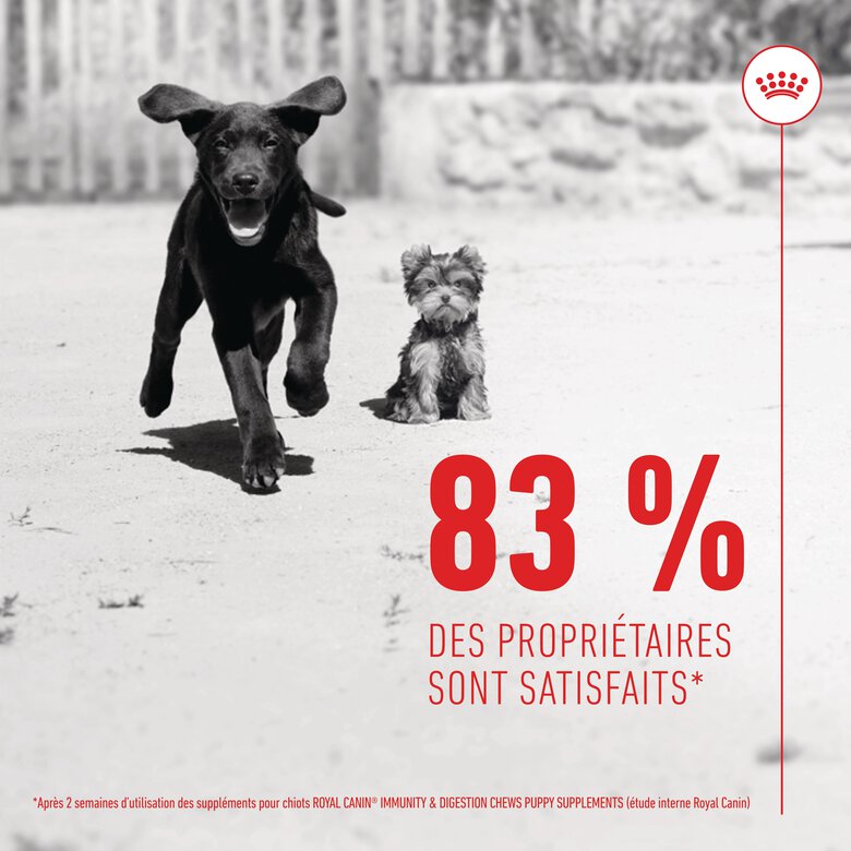 Royal Canin - Aliment Complémentaire Immunity & Digestion pour Chiots - 100g Image numéro 10 Royal Canin - Aliment Complémentaire Immunity & Digestion pour Chiots - 100g Image numéro 10
