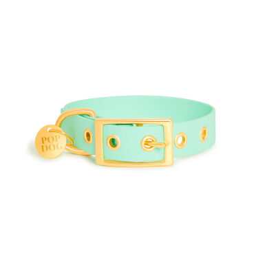 Pop Dog - Collier à ¼illet Swimmy Vert pour Chien