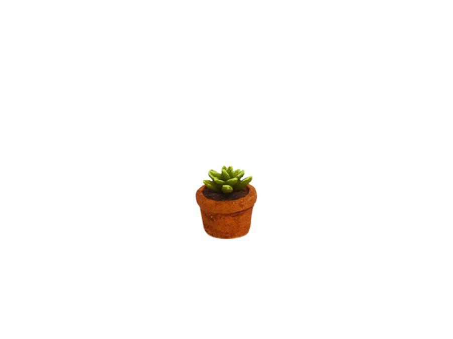 Amtra - D&eacute;coration Mexico Cactus en Pot pour Aquarium - S Image num&eacute;ro 1