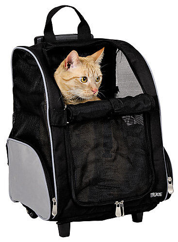 Caisse de transport sales pour chat à roulettes