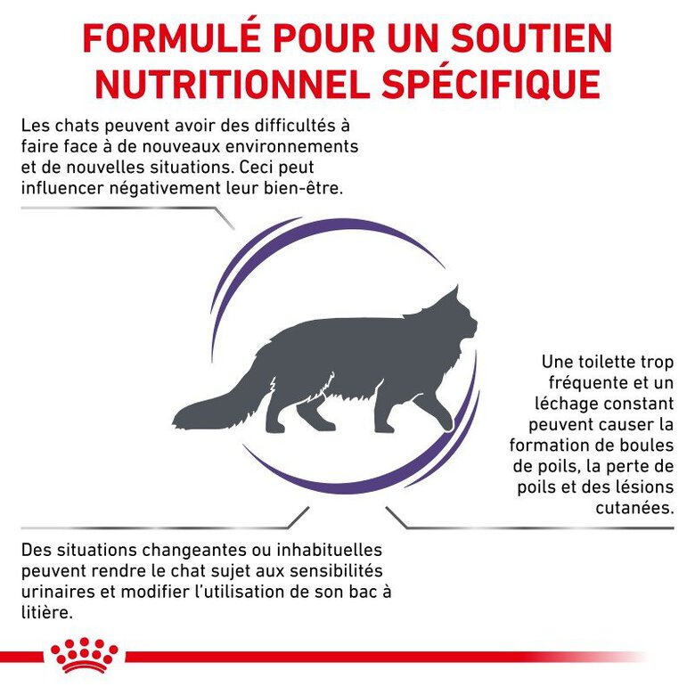 Royal Canin - Croquettes Veterinary Diet Calm pour Chats - 2Kg Image numéro 2 Royal Canin - Croquettes Veterinary Diet Calm pour Chats - 2Kg Image numéro 2