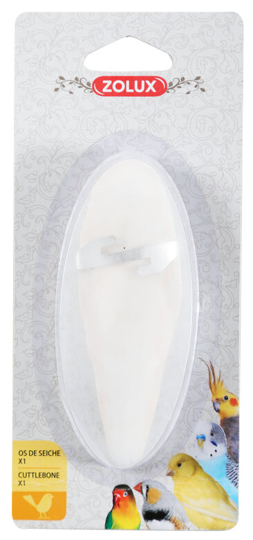 Zolux - Os de Seiche avec Support pour Oiseaux - x1 Image numéro 1 Zolux - Os de Seiche avec Support pour Oiseaux - x1 Image numéro 1