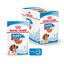 Royal Canin - Sachets Puppy Medium en Sauce pour Chiot - 10x140g Indicateur image numéro 1