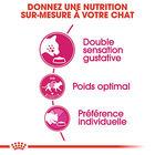 Royal Canin - Croquettes Savour Exigent pour Chats Difficiles - 10Kg image number null