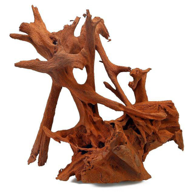 Aquavie - D&eacute;coration Racine Mangrove pour Aquarium - TGM Image num&eacute;ro 1