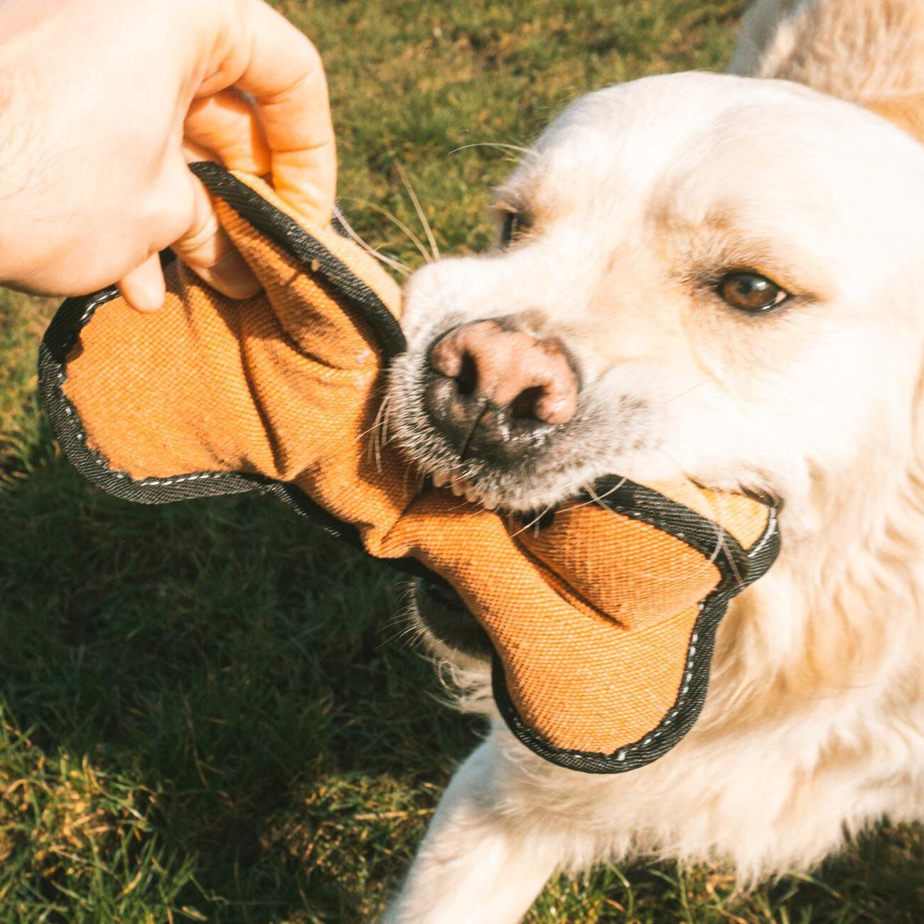 Duvoplus - Jouet Canvas os Multicolore - 12 x 14 x 24 cm Image num&eacute;ro 2