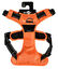 Bobby - Harnais Rando Walk Orange pour Chiens - S Indicateur image numéro 1