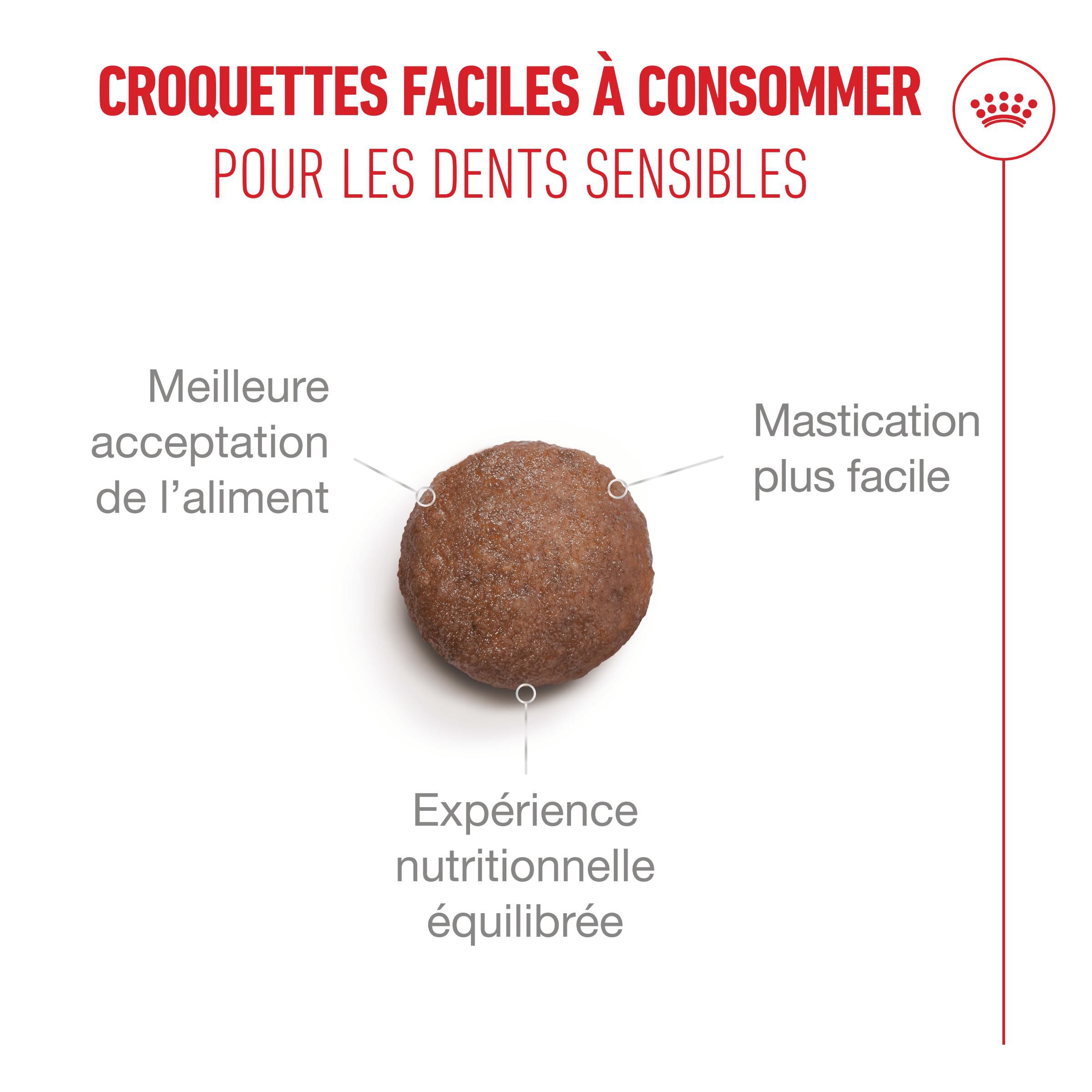 Royal Canin - Croquettes Ageing Sterilised 11+ pour Chats Senior St&eacute;rilis&eacute;s - 400g Image num&eacute;ro 6