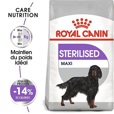 Royal Canin - Croquettes Maxi Sterilised pour Chien Adulte Stérilisé - 3Kg