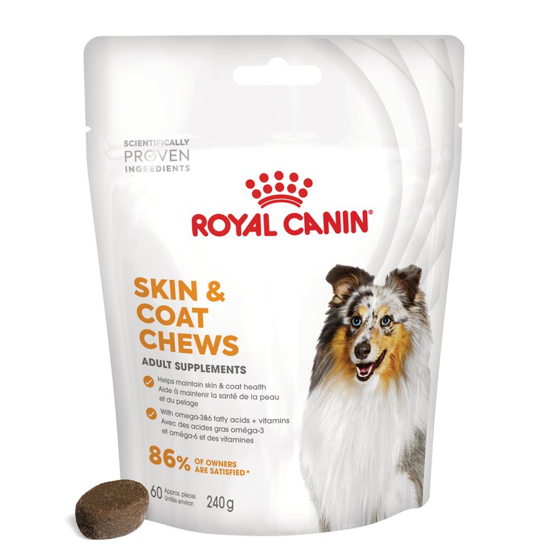 Royal Canin - Aliment Complémentaire Adult Skin & Coat Chews pour Chiens - 240g Image numéro 9 Royal Canin - Aliment Complémentaire Adult Skin & Coat Chews pour Chiens - 240g Image numéro 9