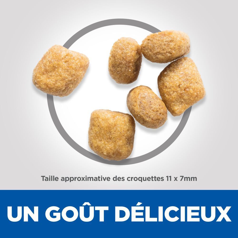 Hill's Science Plan - Croquettes Oral Care Chat au Poulet - 1,5kg Image num&eacute;ro 4