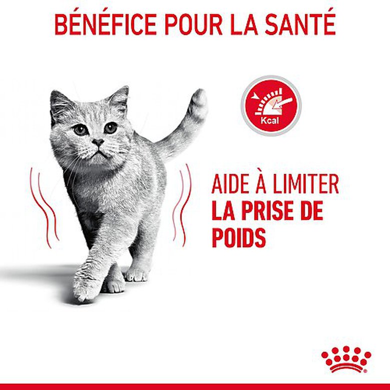 Royal Canin - Croquettes Light Weight Care pour Chat - 8Kg image number null