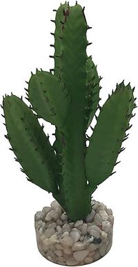 Labeo - Succulente moyen modèle Plante Artificielle Aquarium et Terrarium