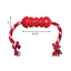 KONG - Jouet Dental w/Rope pour Chiens - M Indicateur image numéro 3