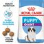 Royal Canin - Croquettes Giant Puppy pour Chiot - 15Kg Indicateur image numéro 1