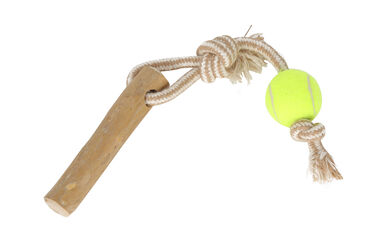 Anka - Jouet Balle Tennis + Bois de Caféier S/M pour Chiens - 34cm
