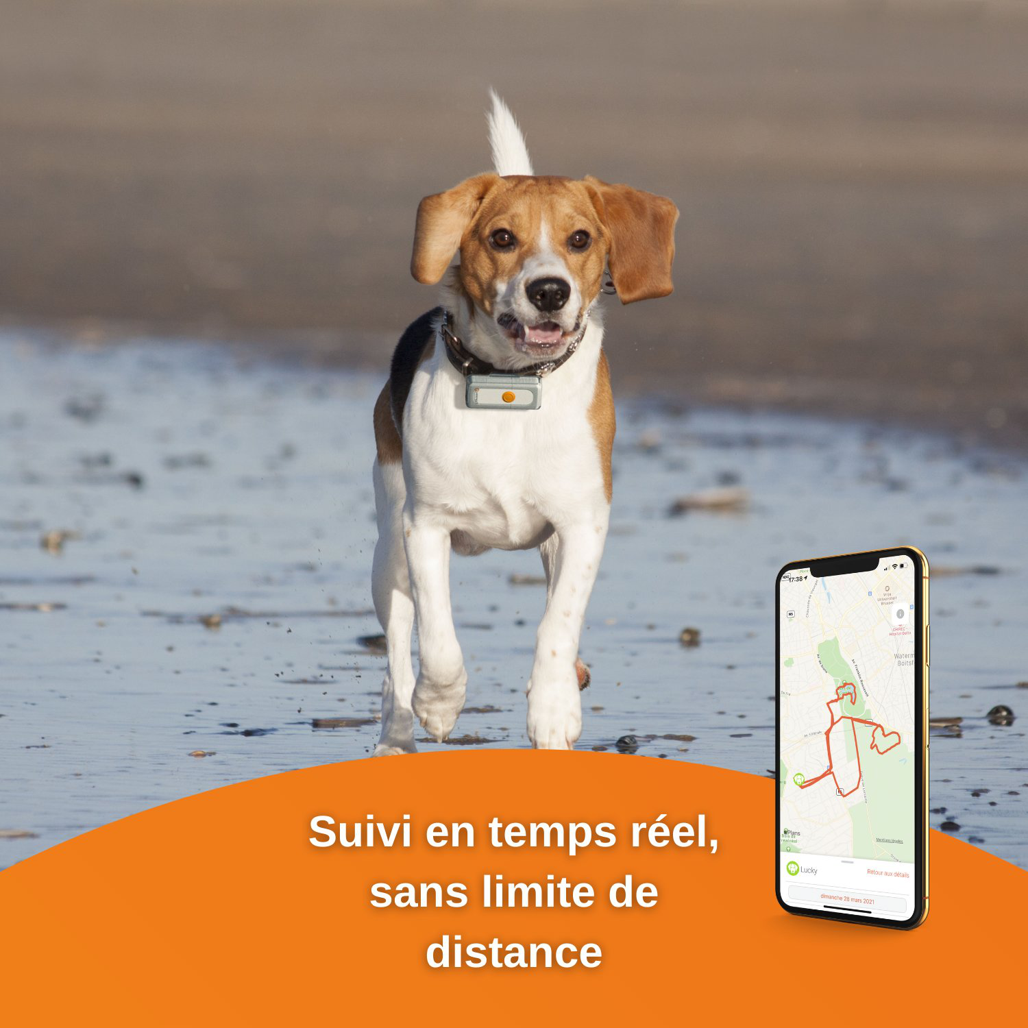 Weenect Dogs 2 - Collier GPS Connect&eacute; pour Chien Image num&eacute;ro 3