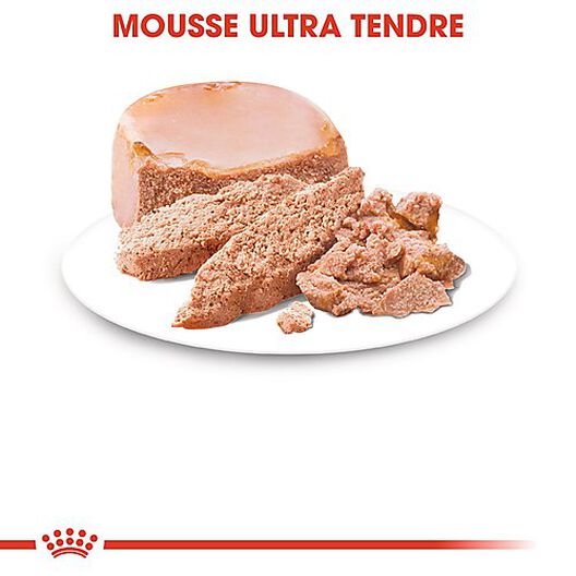 Royal Canin - Boîte Starter Mousse Mother & Babydog en Patée pour Chien - 195g image number null