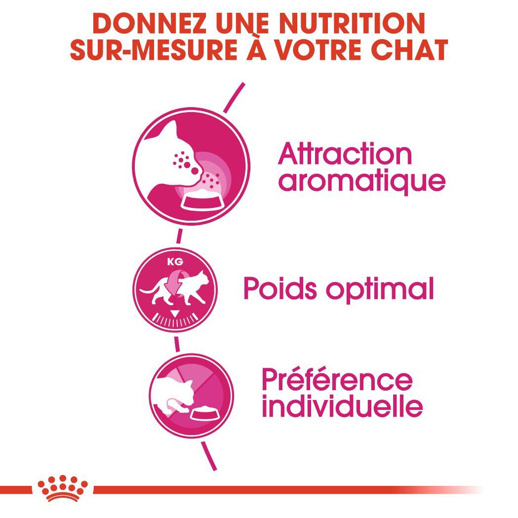 Royal Canin - Croquettes Aroma Exigent pour Chat - 2Kg Image num&eacute;ro 3