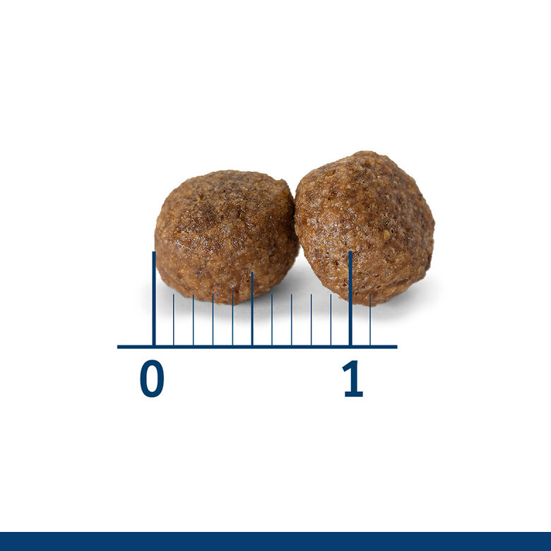 Nath - Croquettes Medium/Maxi Puppy au Poulet pour Chiot - 3Kg Image num&eacute;ro 6