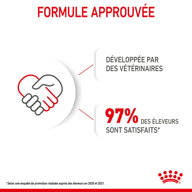 Royal Canin - Croquettes Mini Puppy pour Chiot - 2Kg Image numéro 6 Royal Canin - Croquettes Mini Puppy pour Chiot - 2Kg Image numéro 6