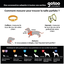Gotoo - Harnais en Nylon Premium Vert pour Chien - XS Indicateur image numéro 7