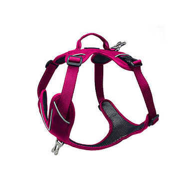 Kyflie - Harnais de promenade MOMENTUM Rose pour Chien