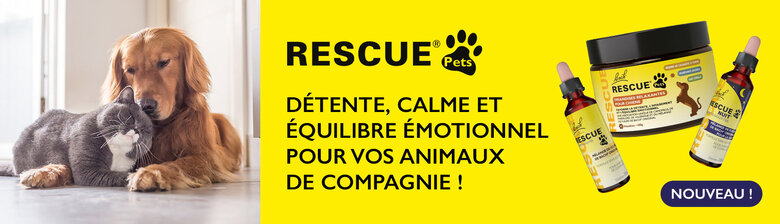 Rescue Pets - Mélange Compte-gouttes Fleurs de Bach - 20ml Image numéro 8 Rescue Pets - Mélange Compte-gouttes Fleurs de Bach - 20ml Image numéro 8